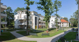 Waldpark in Potsdam-2